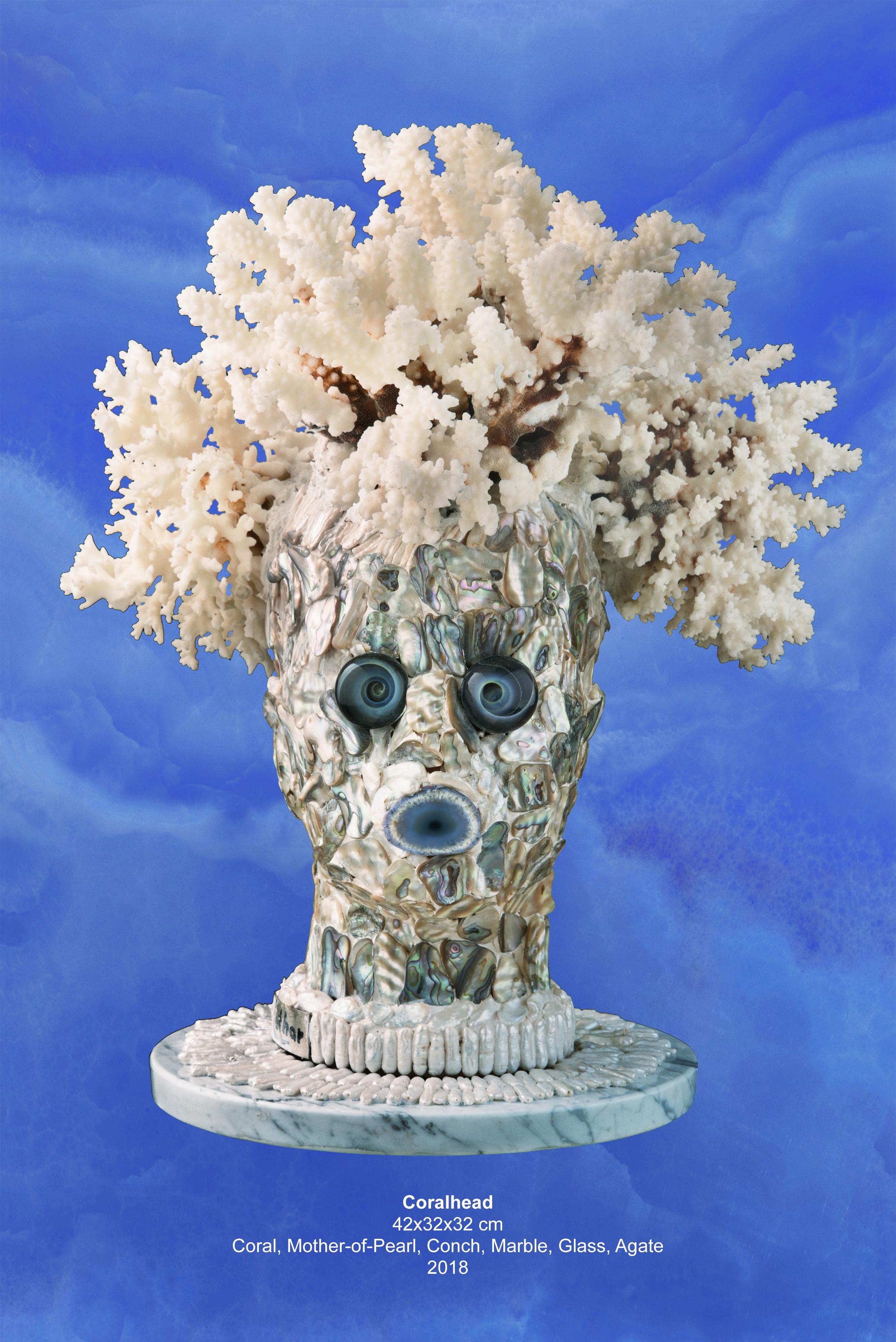 Coral-Head